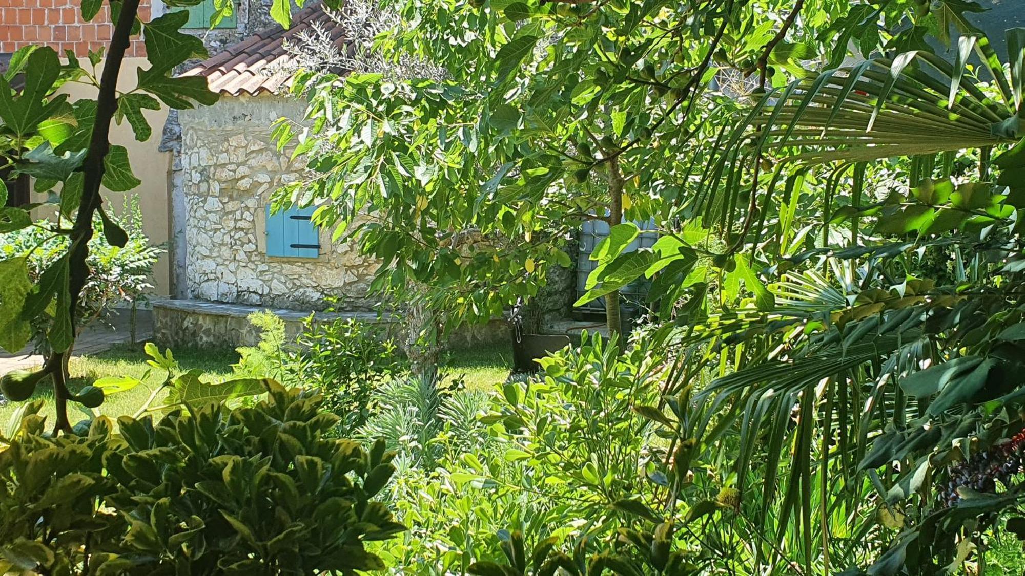 Villa Kazun With Private Pool And Two Gardens Marčana Zewnętrze zdjęcie